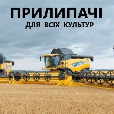 Banner from design